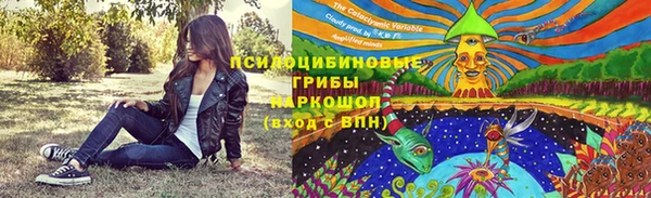 каннабис Алзамай